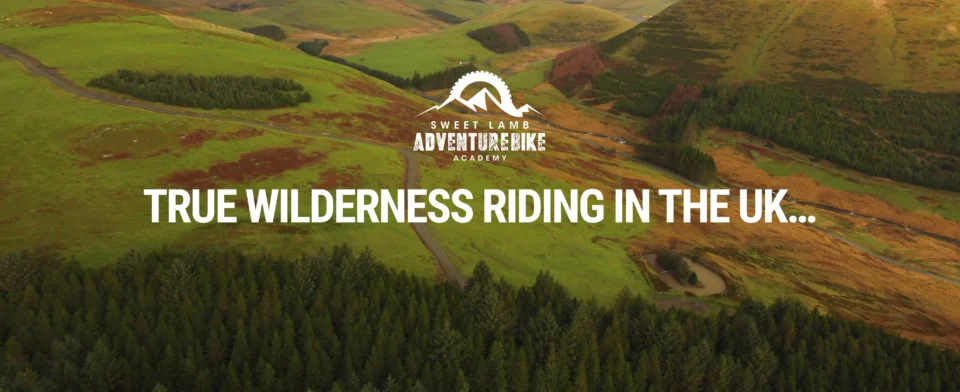 True Wilderness Banner